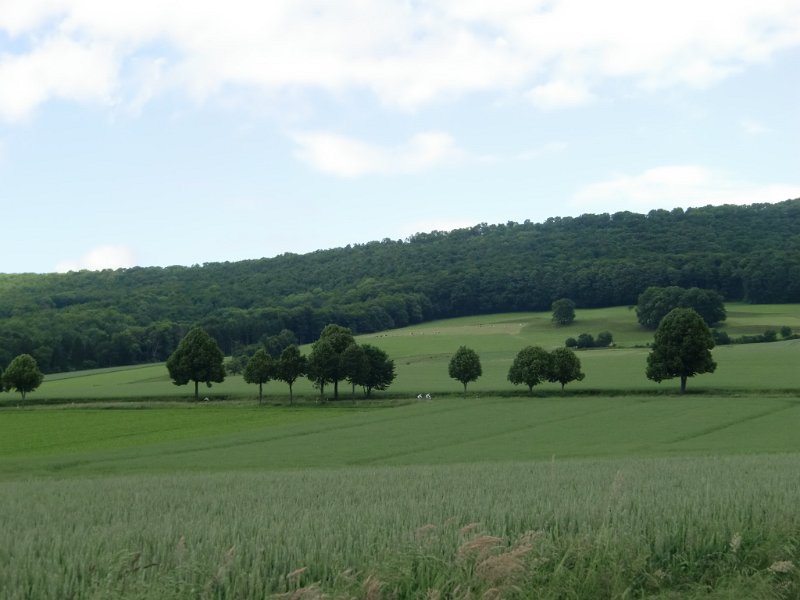 Devese 2010 034